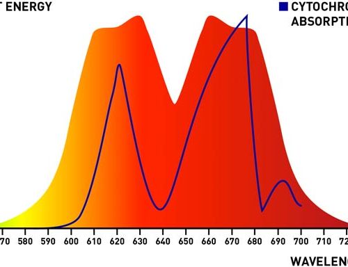 red-light-device-spectrum-cytochrome